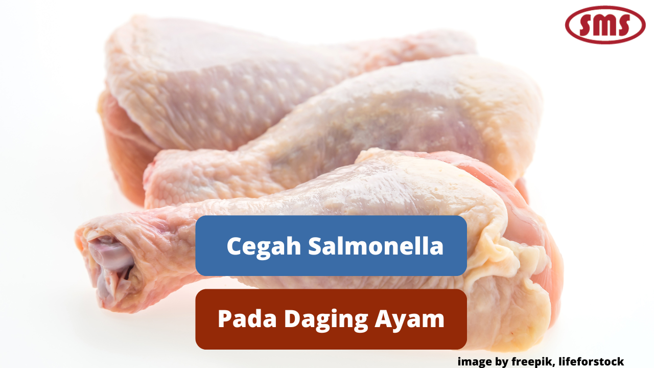 Berikut Beberapa Cara Mencegah Kontaminasi Salmonella Pada Daging Ayam
